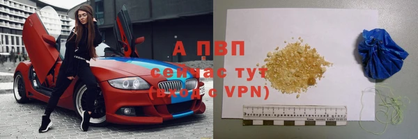 индика Михайлов