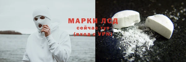 индика Михайлов