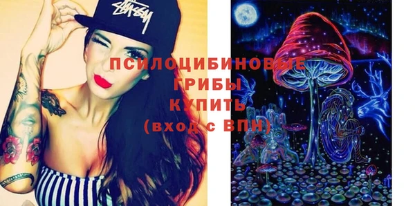 индика Михайлов