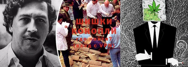 индика Михайлов