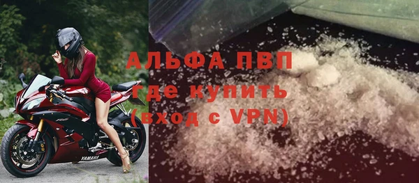 индика Михайлов