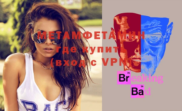 индика Михайлов