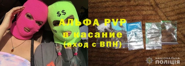 индика Михайлов