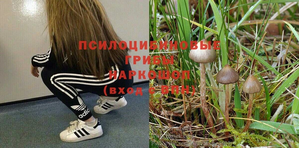 индика Михайлов