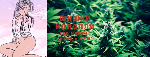 индика Михайлов