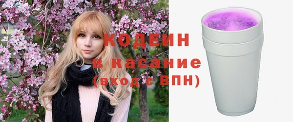 индика Михайлов