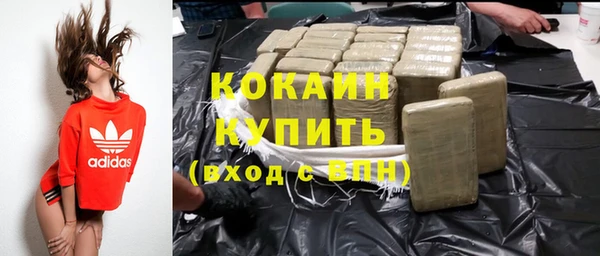 индика Михайлов