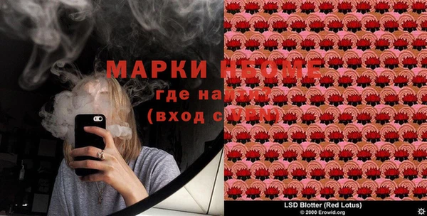 PSILOCYBIN Медвежьегорск