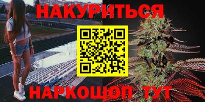 Альфа ПВП Бийск