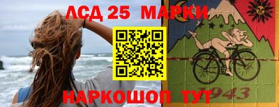 Альфа ПВП Бийск