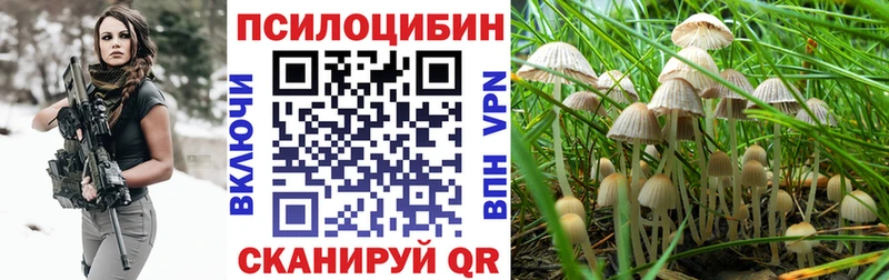 продажа наркотиков  Десногорск  Галлюциногенные грибы MAGIC MUSHROOMS 