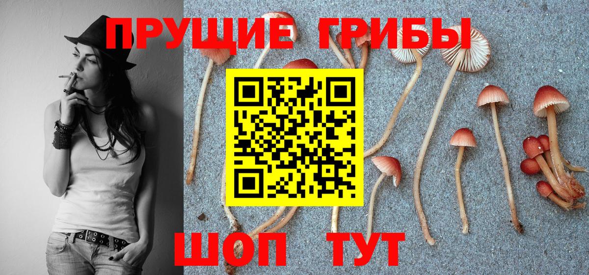 Галлюциногенные грибы ЛСД Десногорск