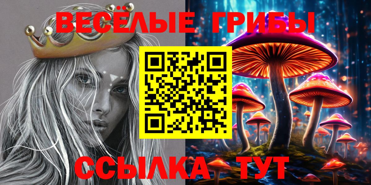 Галлюциногенные грибы GOLDEN TEACHER Десногорск